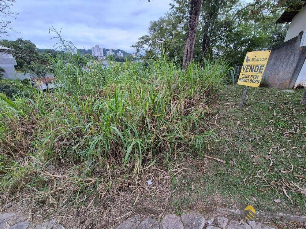 Terreno, 634 m² - Foto 6