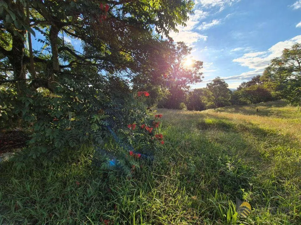 Terreno, 5284 m² - Foto 10