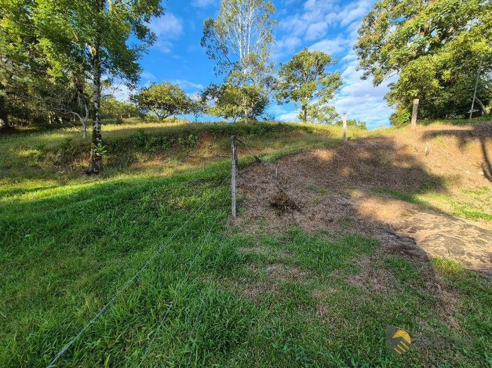 Terreno, 5284 m² - Foto 5