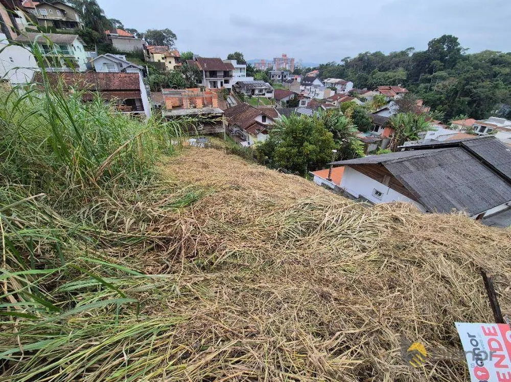 Terreno, 450 m² - Foto 4