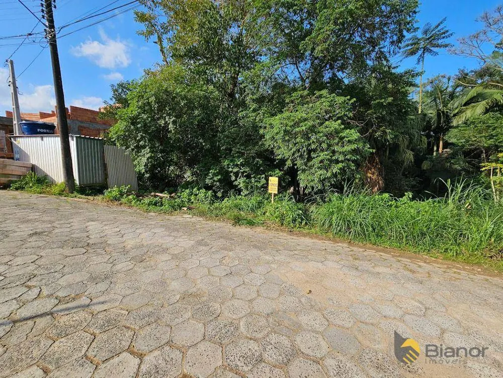 Terreno, 1091 m² - Foto 6