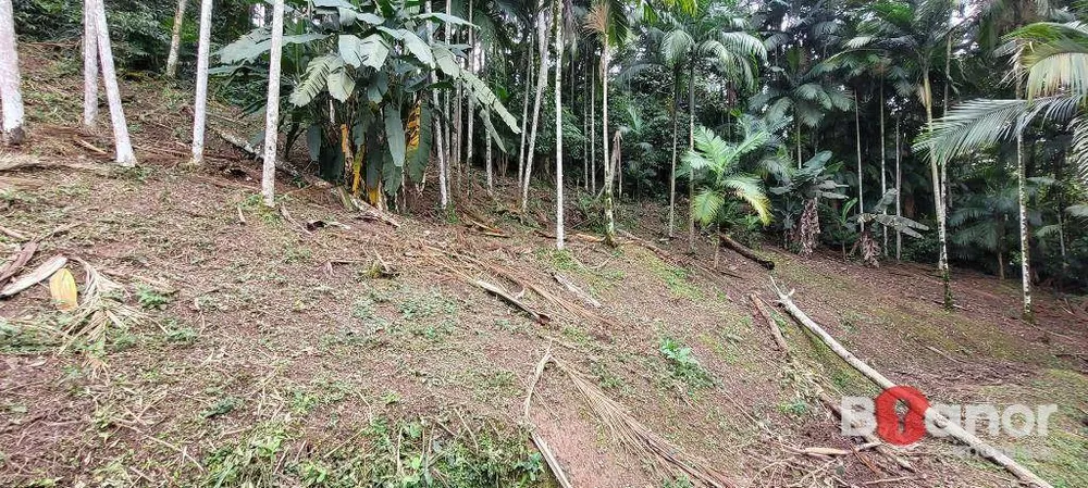 Terreno, 2316 m² - Foto 8