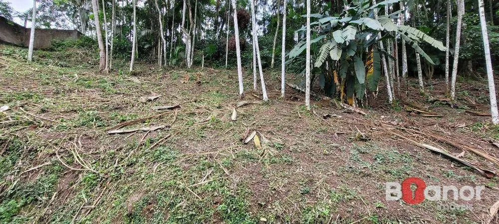 Terreno, 2316 m² - Foto 6