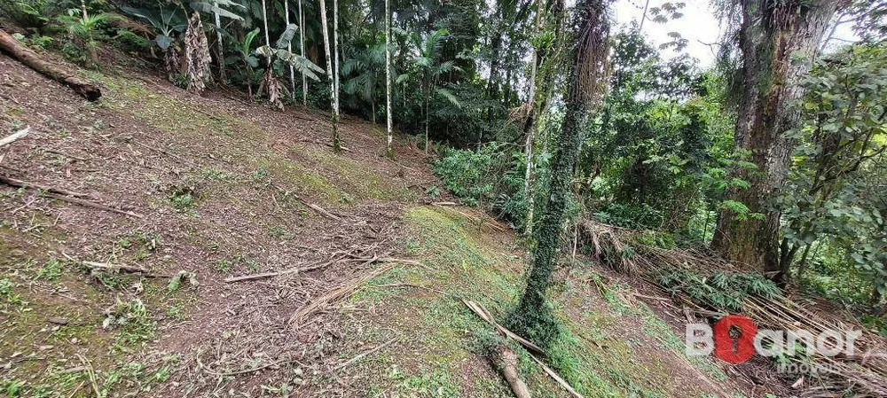 Terreno, 2316 m² - Foto 7