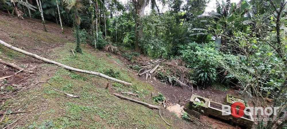 Terreno, 2316 m² - Foto 9