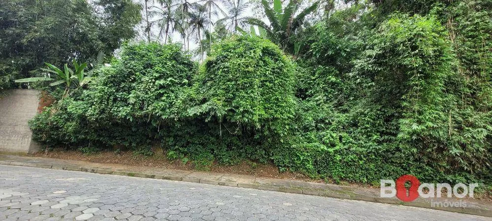 Terreno, 2316 m² - Foto 14