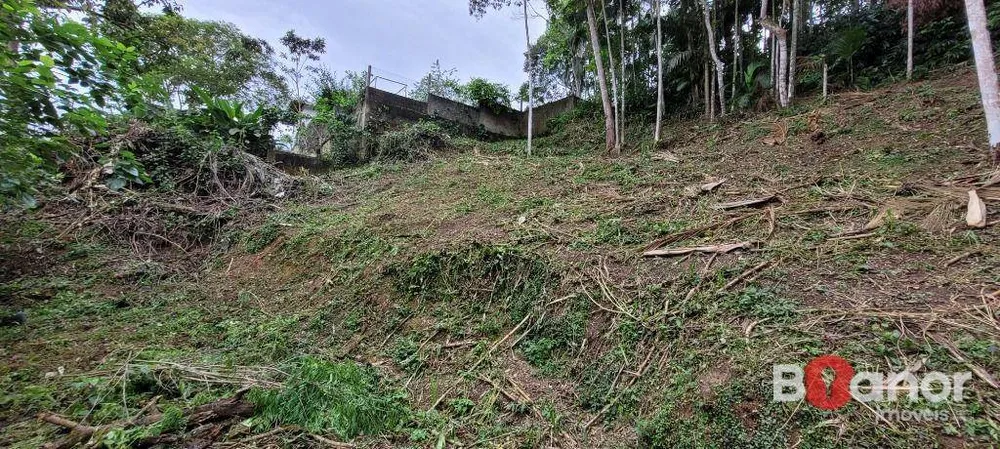 Terreno, 2316 m² - Foto 5