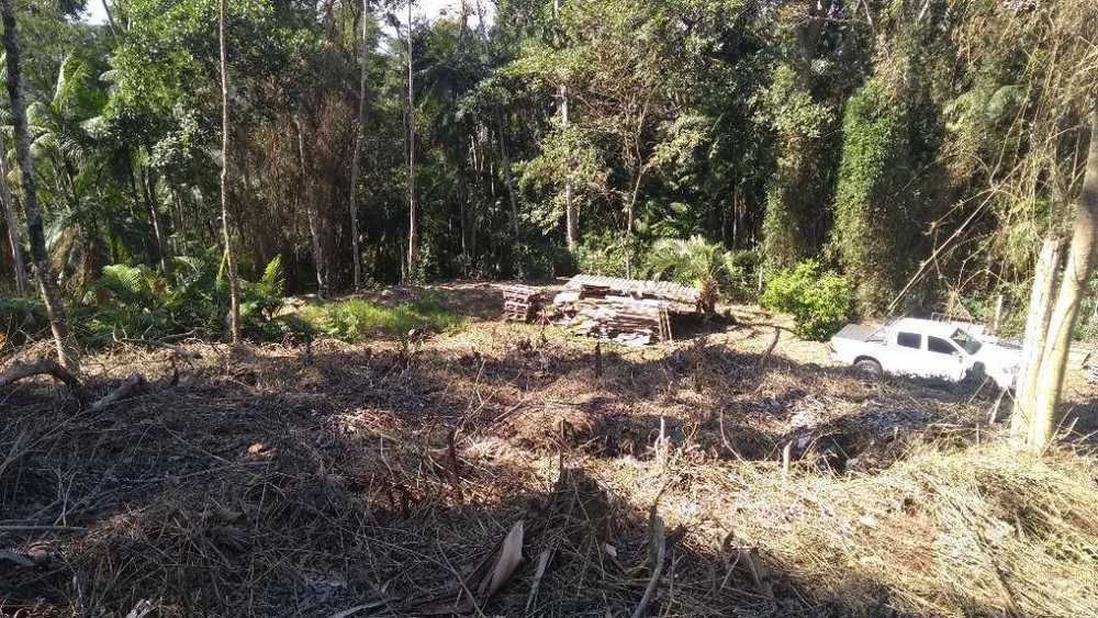 Terreno, 6 hectares - Foto 6