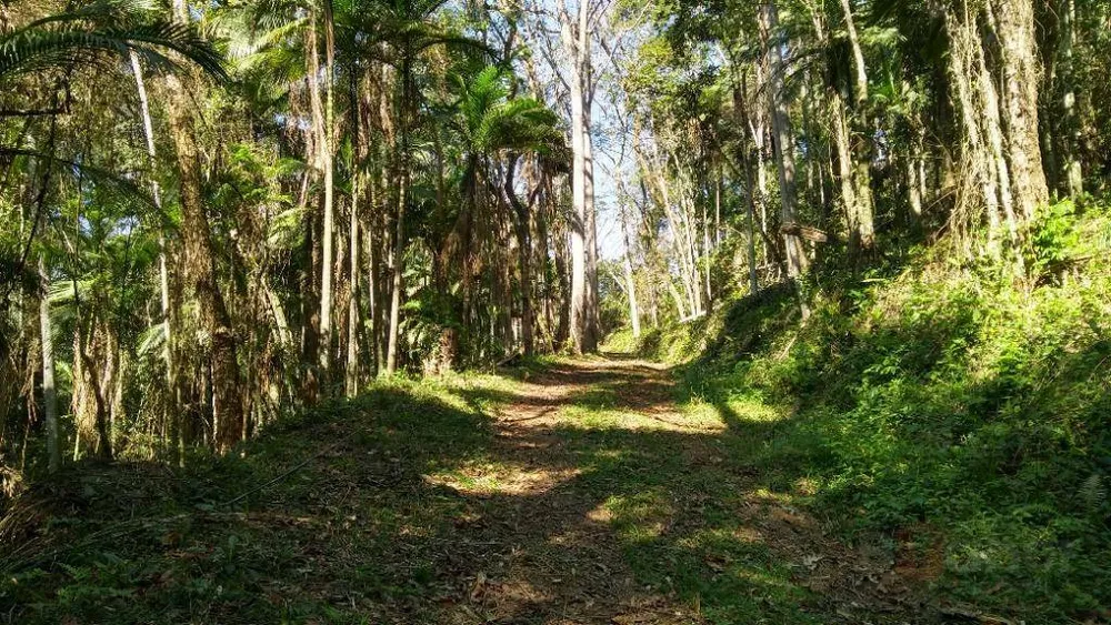 Terreno, 6 hectares - Foto 12