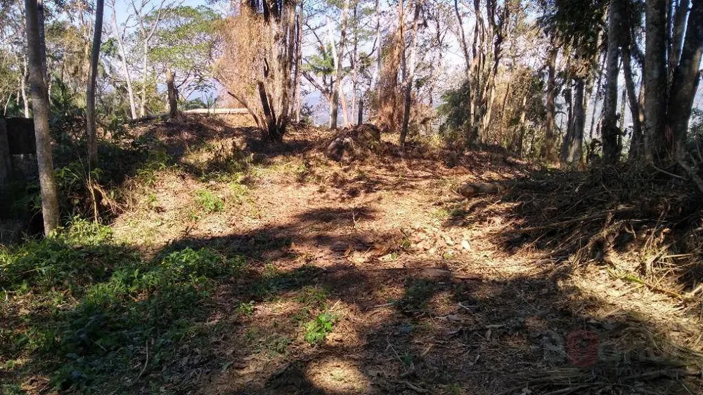 Terreno, 6 hectares - Foto 7