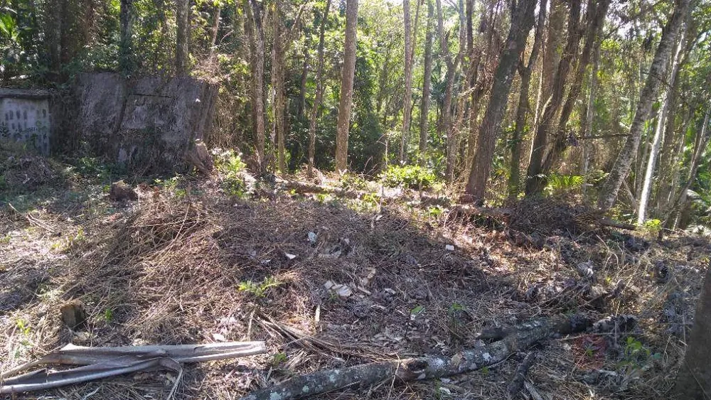Terreno, 6 hectares - Foto 4