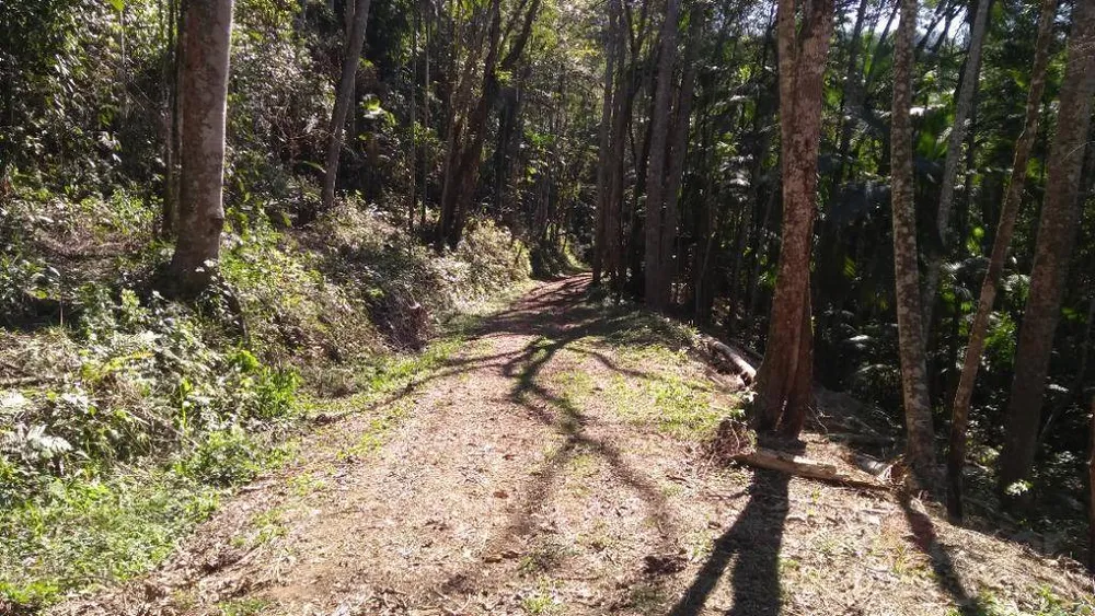 Terreno, 6 hectares - Foto 7
