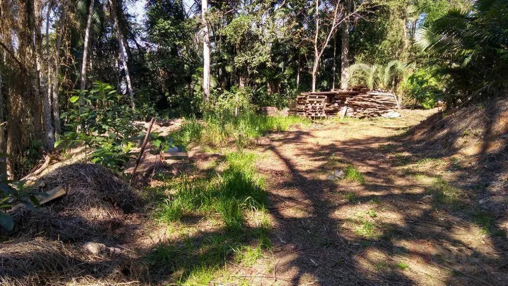 Terreno, 6 hectares - Foto 3