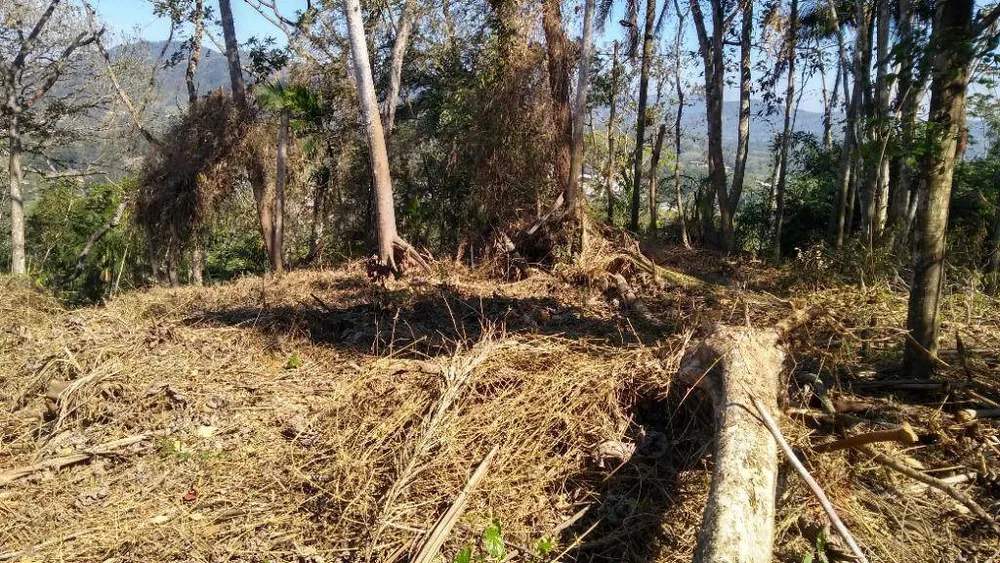 Terreno, 6 hectares - Foto 8