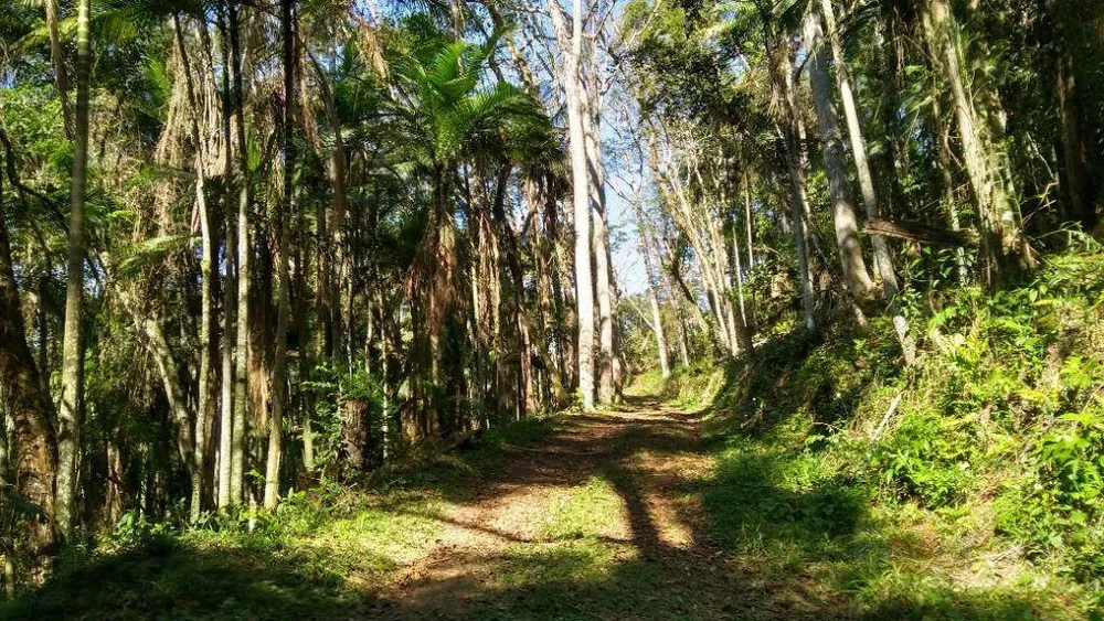 Terreno, 6 hectares - Foto 2