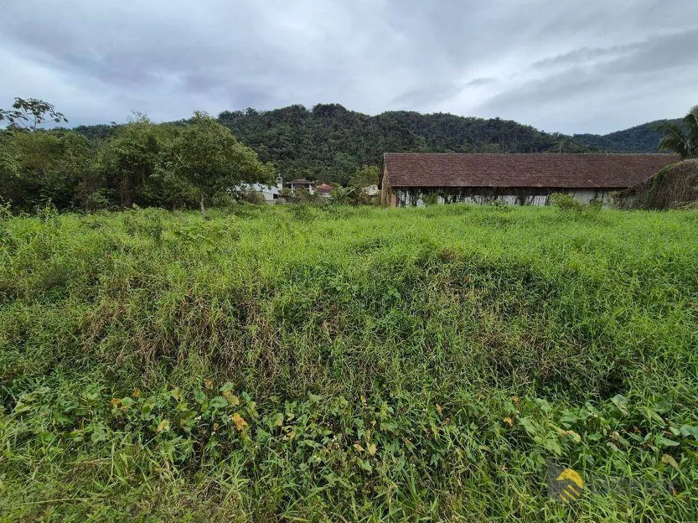 Depósito-Galpão, 600 m² - Foto 5