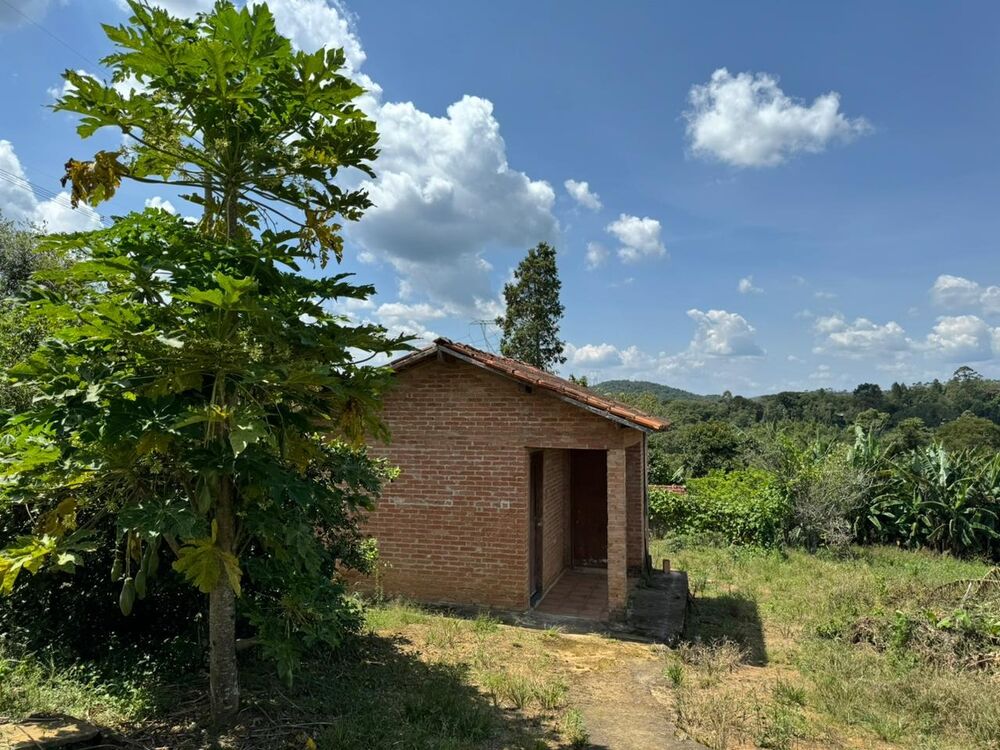 Sítio à venda com 3 quartos - Foto 6