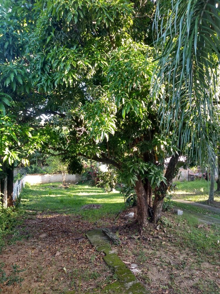 Chácara, 3 quartos - Foto 6