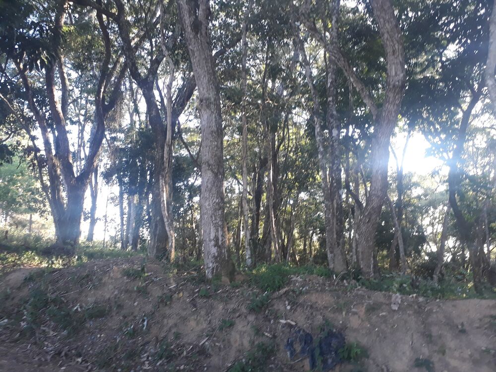 Terreno, 1000 m² - Foto 6