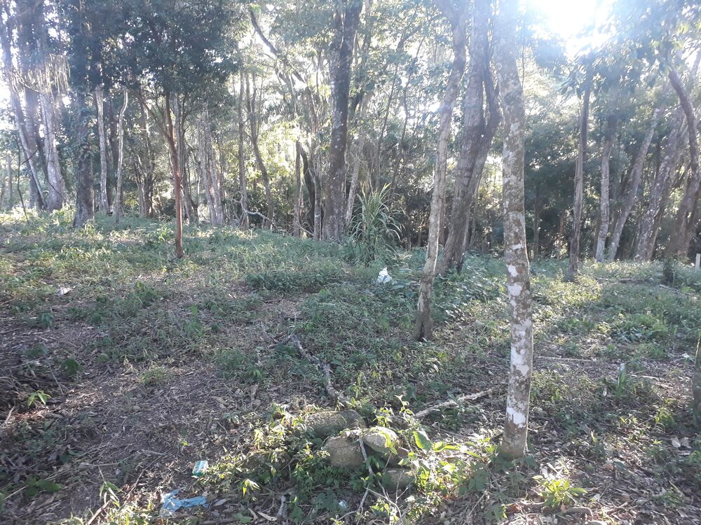 Terreno, 1000 m² - Foto 3