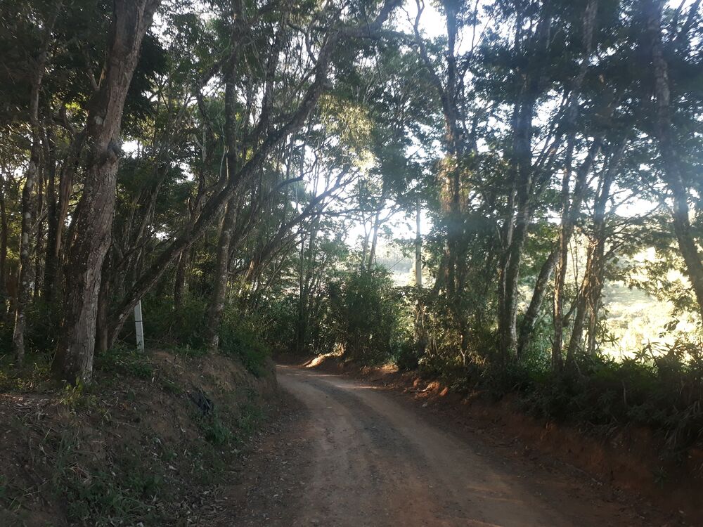 Terreno, 1000 m² - Foto 1