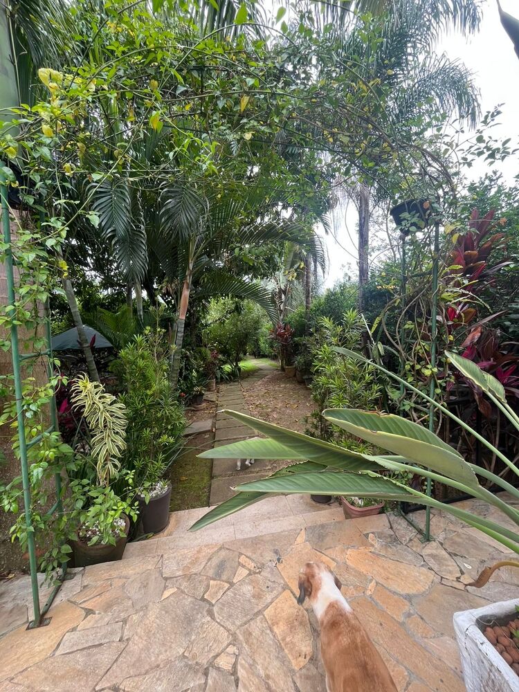 Chácara, 4 quartos - Foto 7