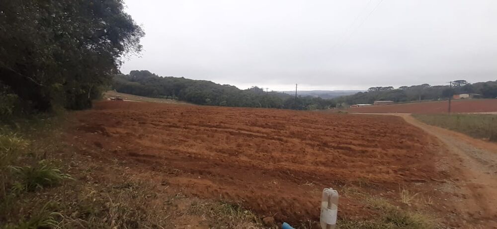 Terreno, 10 hectares - Foto 4