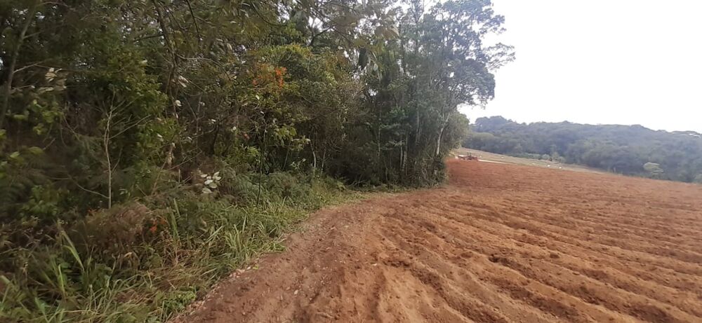 Terreno, 10 hectares - Foto 1