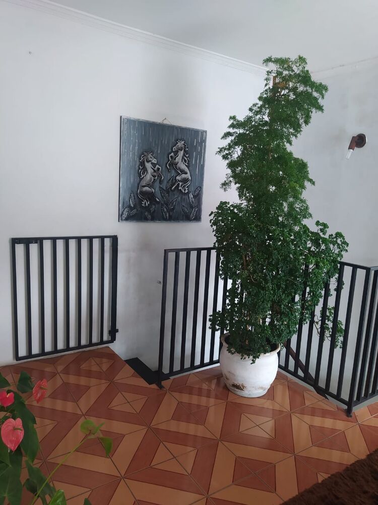 Casa, 3 quartos - Foto 5
