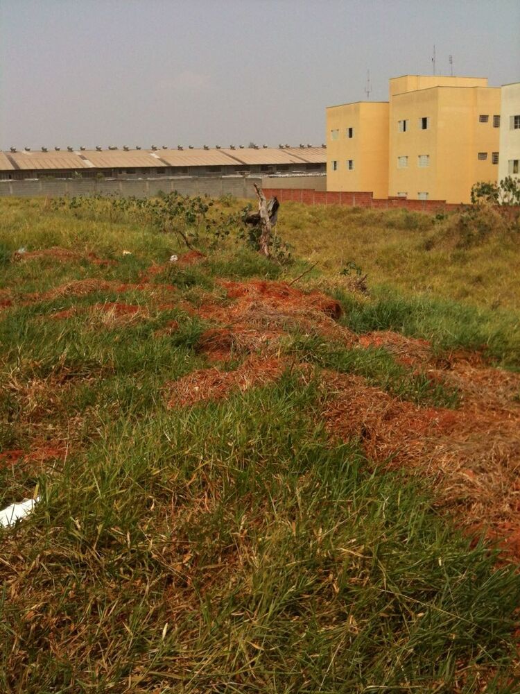 Terreno, 5000 m² - Foto 5