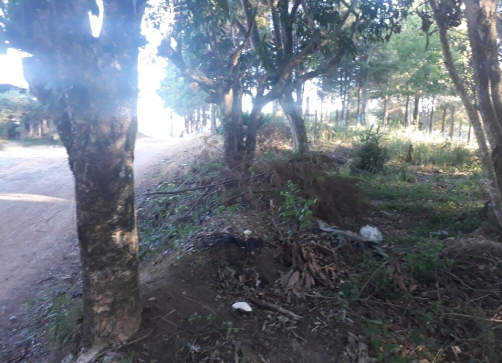 Terreno, 1000 m² - Foto 1