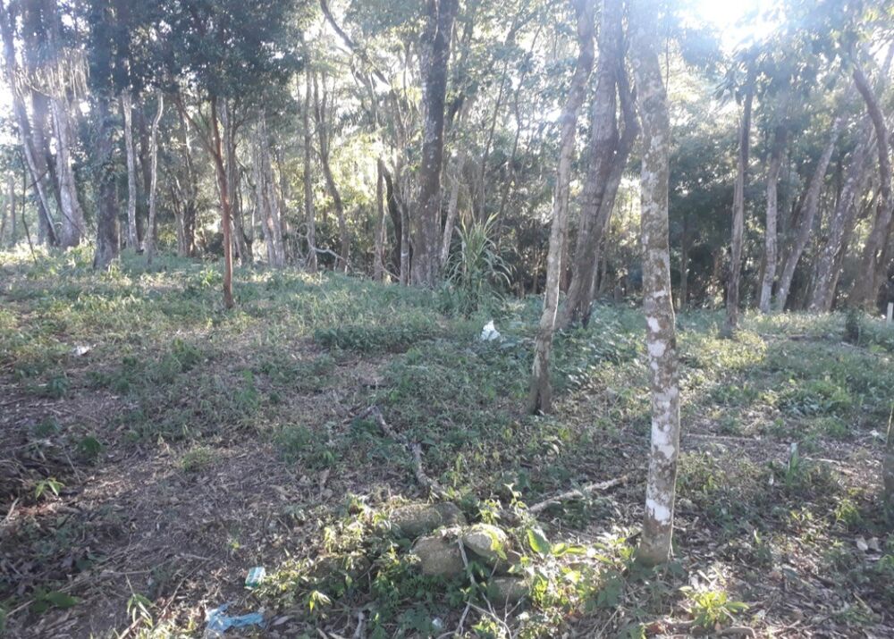 Terreno, 1000 m² - Foto 3