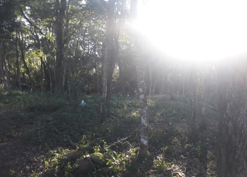 Terreno, 1000 m² - Foto 2