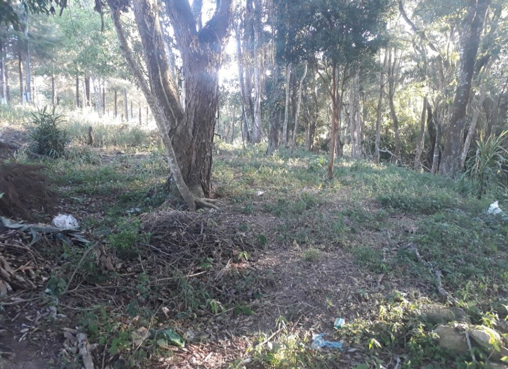 Terreno, 1000 m² - Foto 4