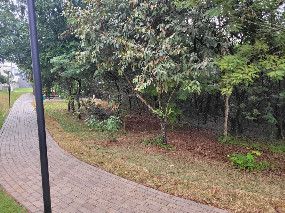 Terreno, 531 m² - Foto 3