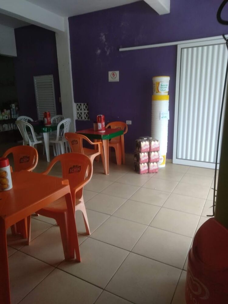 Casa, 4 quartos, 310 m² - Foto 26