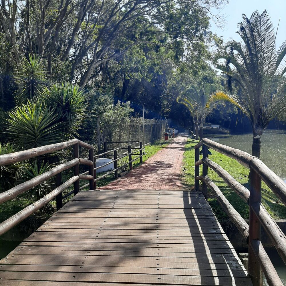 Terreno, 200 m² - Foto 3