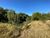 Terreno, 6450 m² - Foto 5