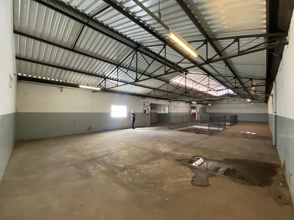 Sala-Conjunto, 1265 m² - Foto 18