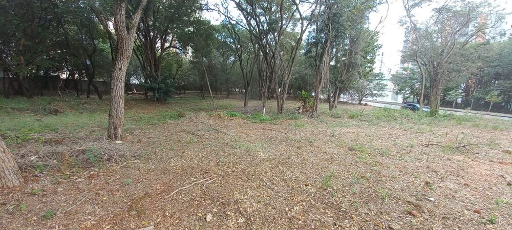 Terreno, 7000 m² - Foto 1