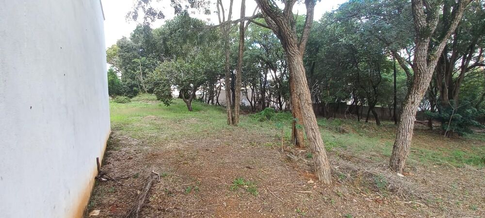 Terreno, 7000 m² - Foto 14