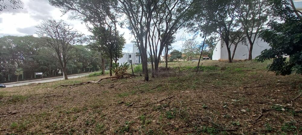 Terreno, 7000 m² - Foto 10