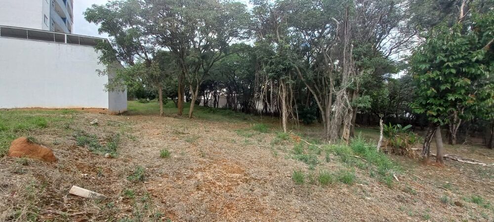 Terreno, 7000 m² - Foto 17