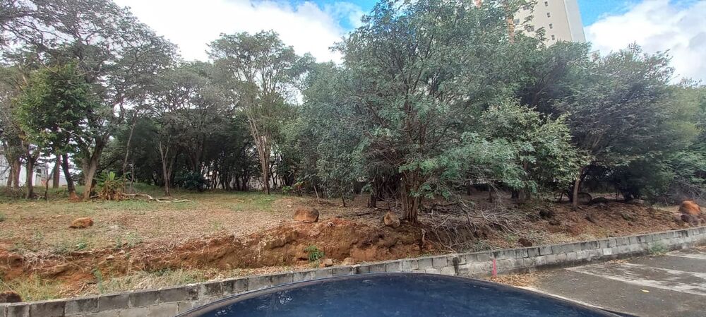 Terreno, 7000 m² - Foto 4