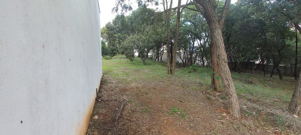 Terreno, 7000 m² - Foto 13