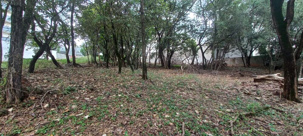 Terreno, 7000 m² - Foto 6