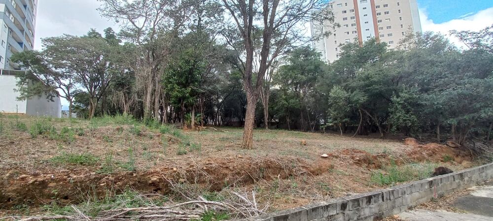 Terreno, 7000 m² - Foto 23