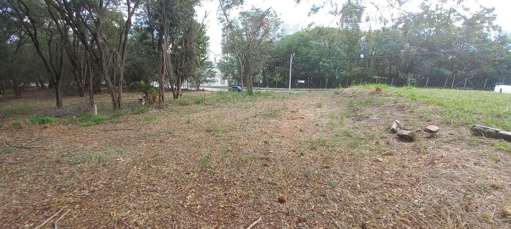 Terreno, 7000 m² - Foto 9