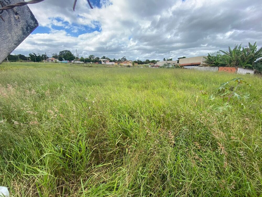 Terreno, 7000 m² - Foto 3