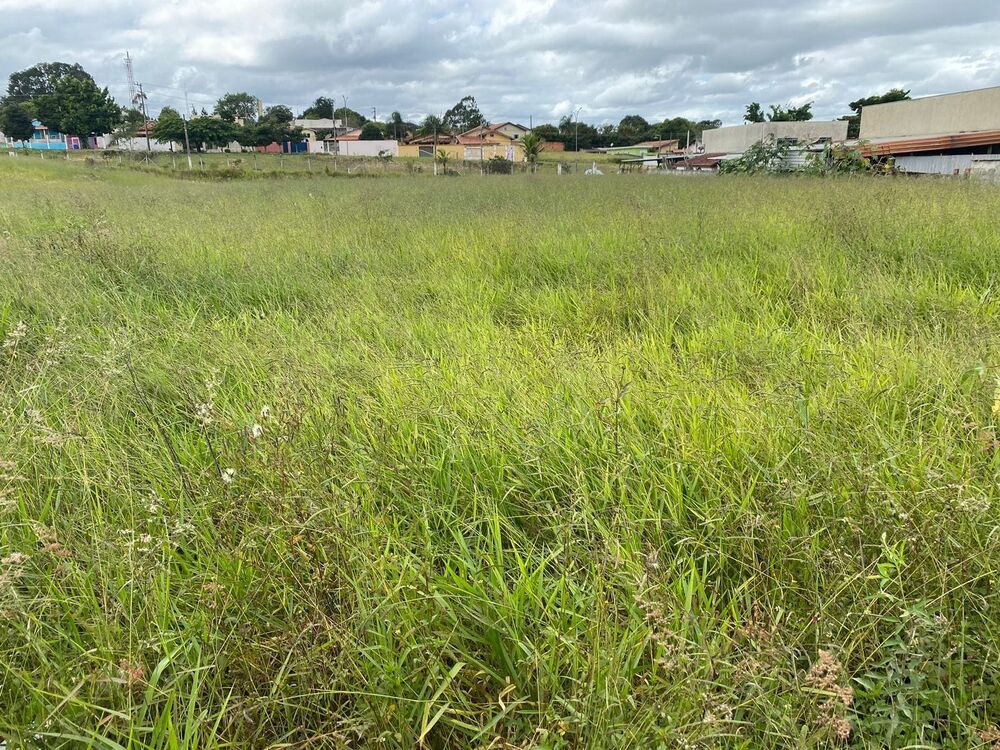 Terreno, 7000 m² - Foto 6